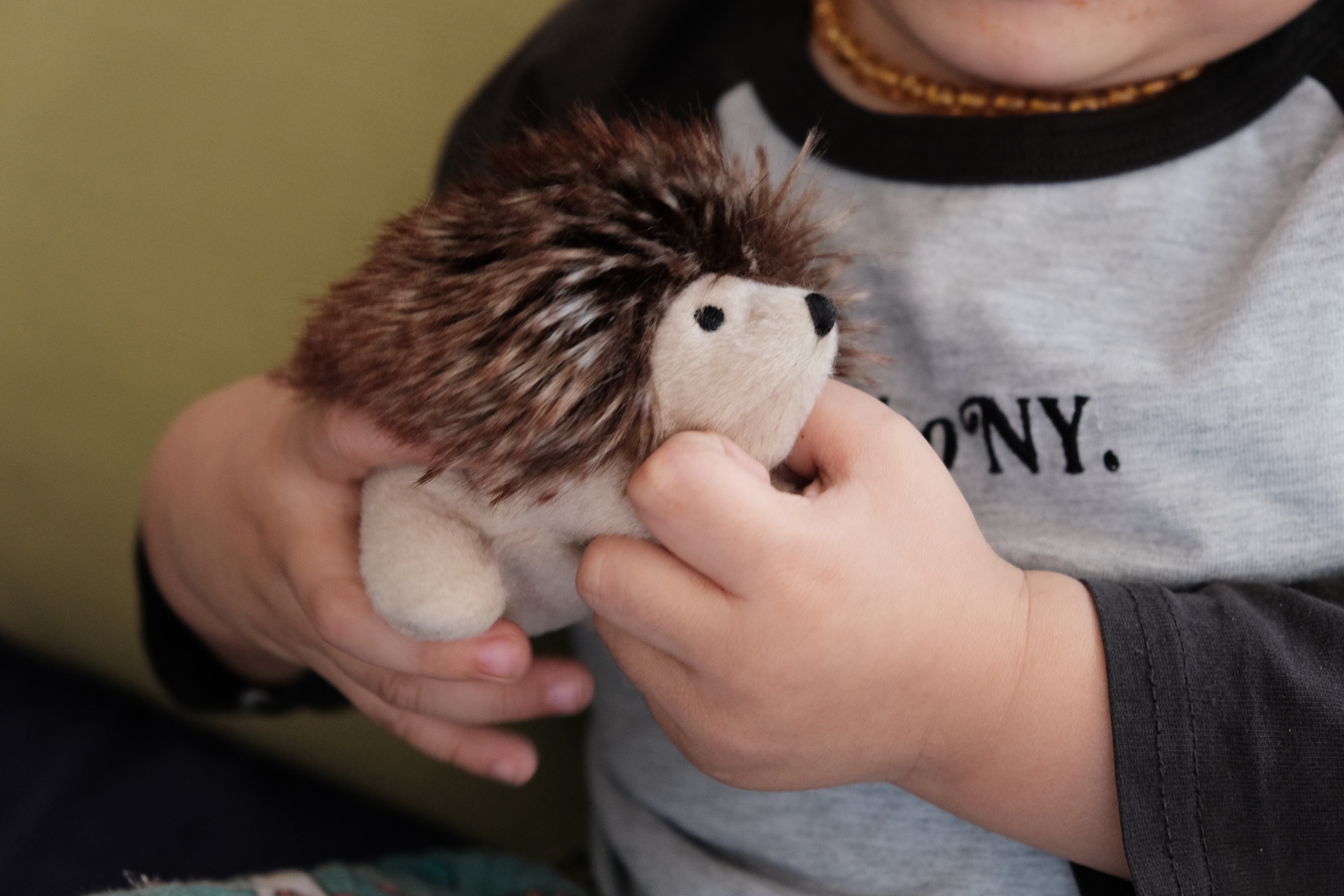 xDSCF0163KiBe.JPG xDSCF0163KiBe